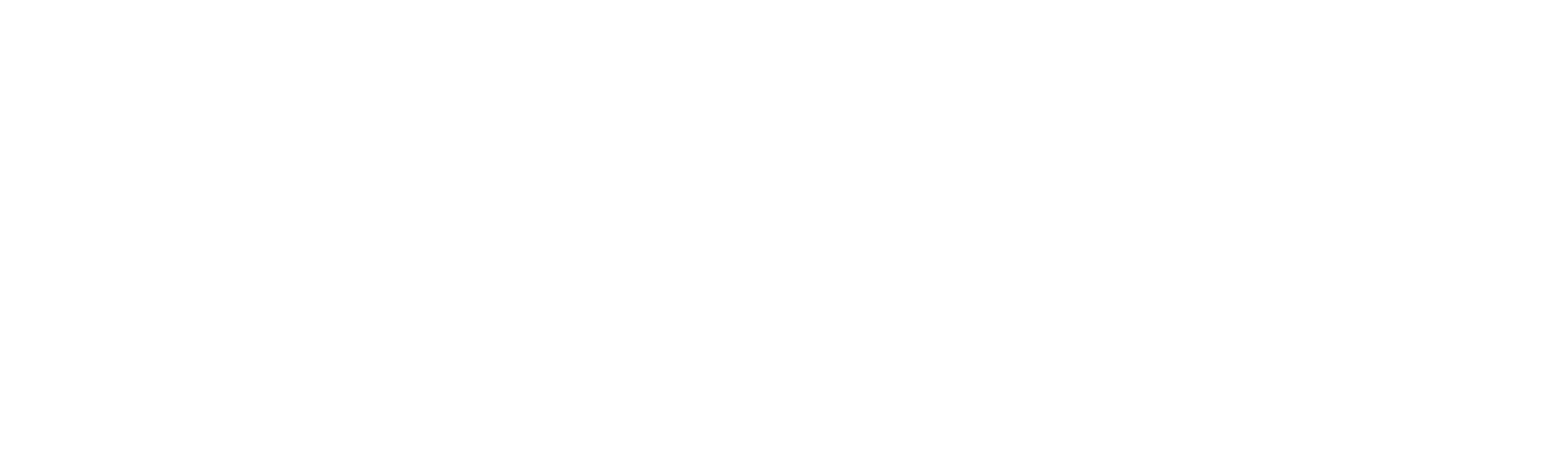 AVIS Logotype