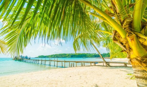 AVIS-Firts_minute_2024